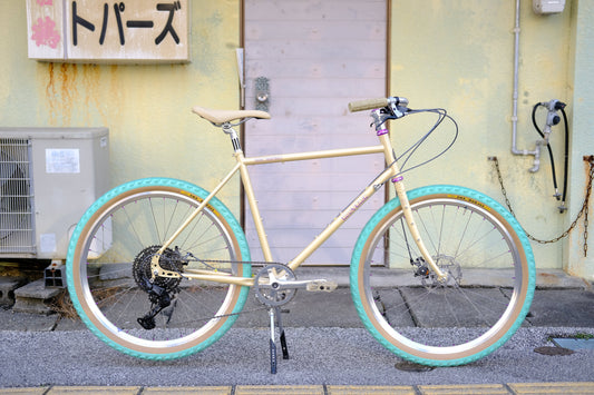 STYLE SAMPLE #005 BASSI BIKES HOG'S BACK