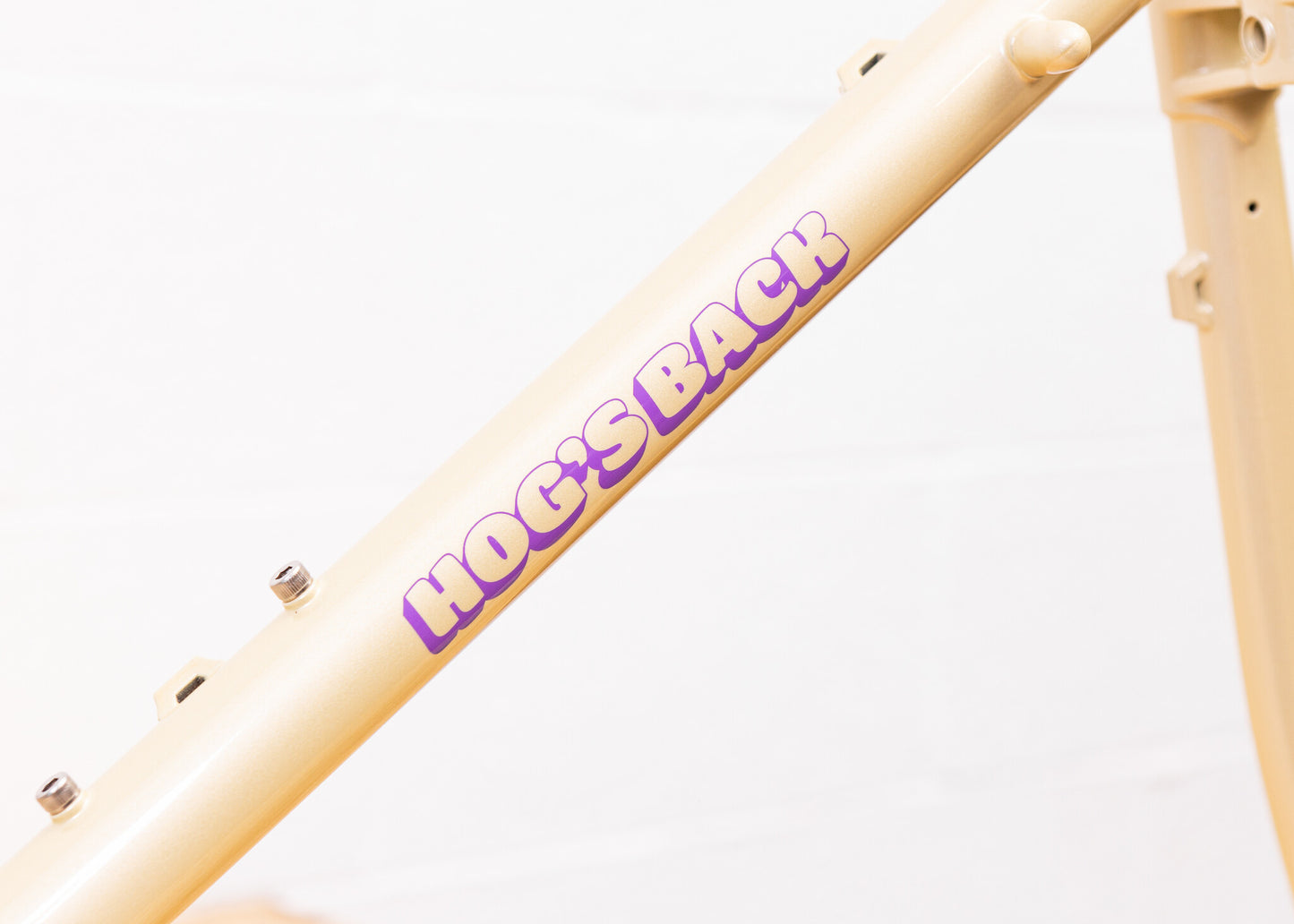BASSI BIKES Hog's Back