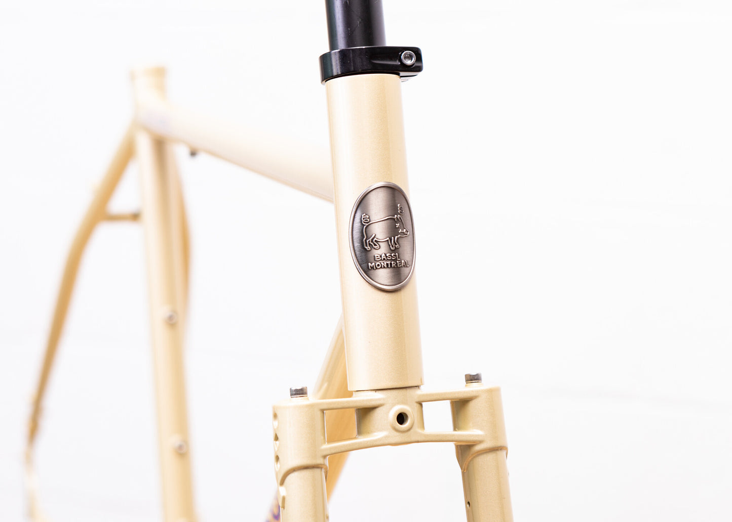 BASSI BIKES Hog's Back
