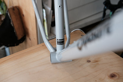 RAL Exposure Trail Commuter Frame Set