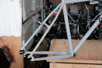 RAL Exposure Trail Commuter Frame Set