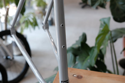 RAL Exposure Trail Commuter Frame Set