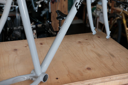 RAL Exposure Trail Commuter Frame Set
